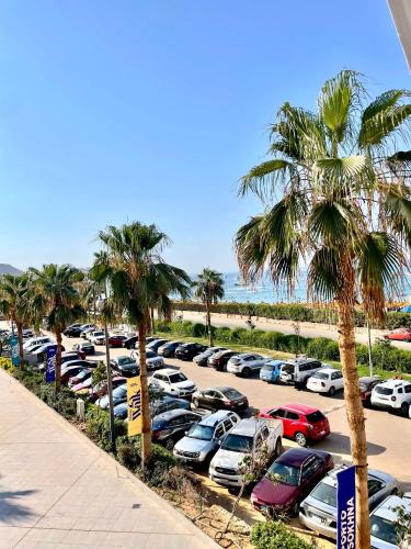 a parking lot with a lot of cars and palm trees at Porto El Sokhna Chalits In Water Front in Ain Sokhna