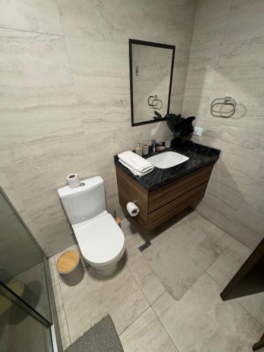 a bathroom with a toilet and a sink and a mirror at Depar 1 Dormitorio B in Cochabamba