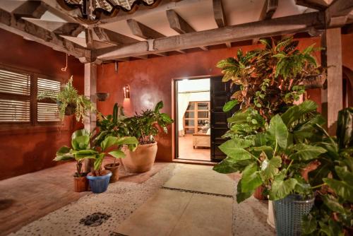 Jardín al aire libre en VILLA ESPLENDOROSA At Los Destiladeros