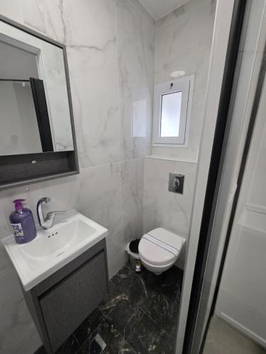 a bathroom with a sink and a toilet and a mirror at Ryo 42 Studio apartment 5 minutes from the beach in Bat Yam