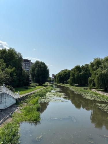 a river with algae in the middle of it at Cozy apartment in the center in Khmelʼnytsʼkyy