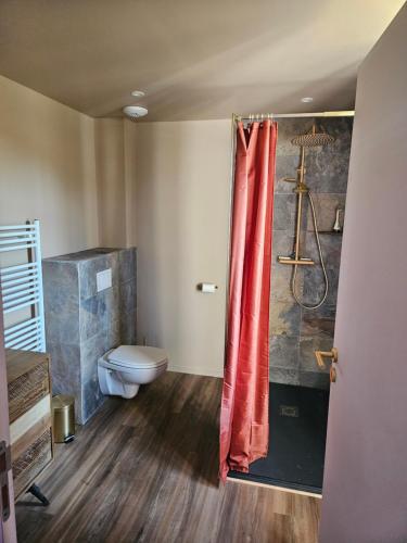 a bathroom with a toilet and a shower curtain at Domaine d'Eden - Château les Tourelles in Beaulieu