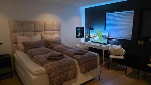 Μια τηλεόραση ή/και κέντρο ψυχαγωγίας στο Oslo guest rooms