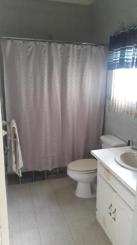 a bathroom with a toilet and a shower curtain at Kingston Studio Apartment in Kingston