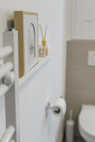 a bathroom with a toilet and a picture on a shelf at Moderne Zwei Zimmer Altbauwohnung im Stadtkern in Wiener Neustadt