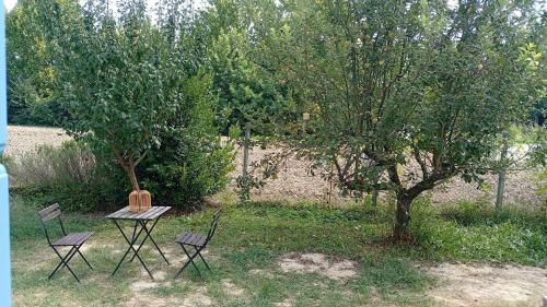 a table and two chairs next to a tree at La Casa di Cristina in Martellago