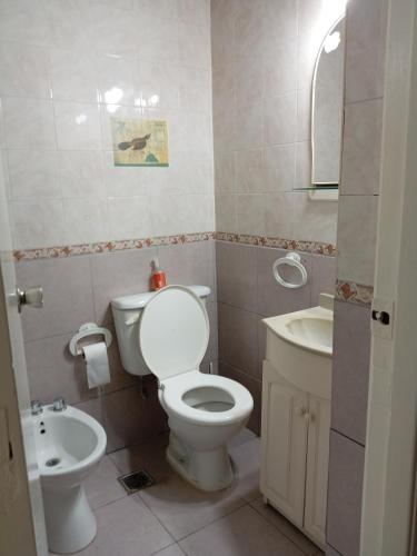 ein Badezimmer mit Toilette und Waschbecken in der Unterkunft 1 Ambiente Zona Shopping Aldrey in Mar del Plata