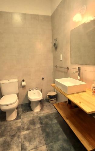 a bathroom with a white toilet and a sink at "Clodin" Monoambiente Ideal, Planta Baja y Garage in La Cieneguita