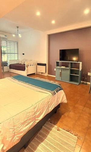 a bedroom with a bed and a flat screen tv at "Clodin" Monoambiente Ideal, Planta Baja y Garage in La Cieneguita
