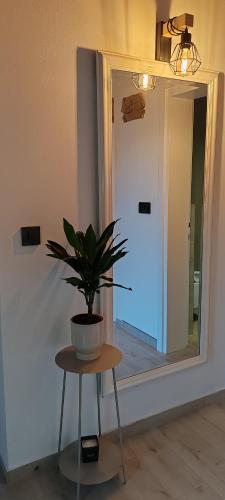 a potted plant sitting on a table in a room at CaSa ViTo Kumrovec 