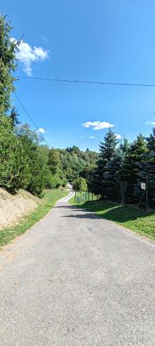 an empty road with trees on either side at CaSa ViTo Kumrovec 