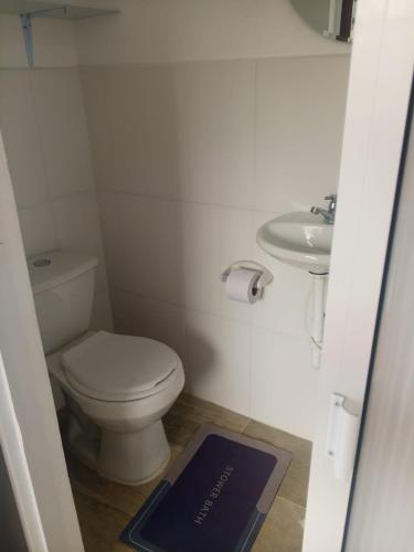 a small bathroom with a toilet and a sink at KOKOA GARDEN INN in San Vicente de Chucurí