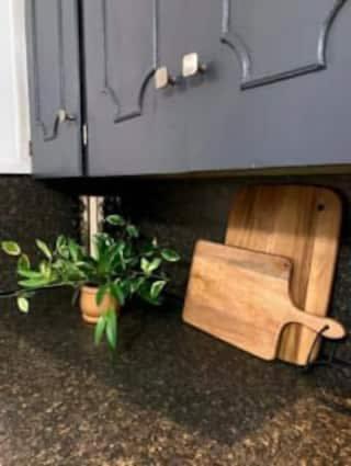 two plants sitting under a counter with a cabinet at Lafayette Getaway - Private Room in a Shared House in Lafayette