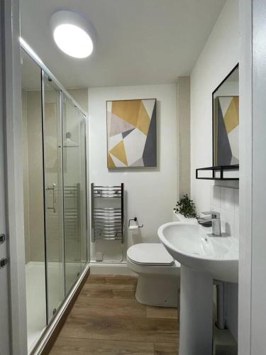 a bathroom with a toilet and a sink and a shower at Cozy One Bed Flat at Dawe Luxury Suites - An Entire Apartment near Ely Cathedral & Train Station - The Perfect Base to Explore Ely, Cambridge, Norfolk & London - 2 Guests Max & Pet Friendly in Ely