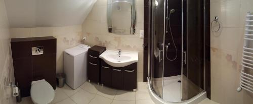 La salle de bains est pourvue d'un lavabo, d'une douche et de toilettes. dans l'établissement Apartament Anita, à Jastrzębia Góra