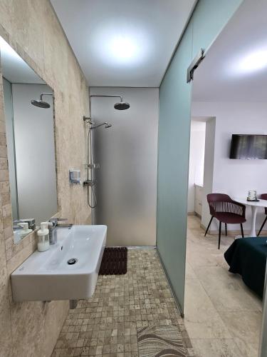 a bathroom with a sink and a shower at Dacia Residence Apartments in Bucharest