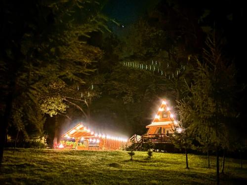 a christmas tree in a field at night at Domki Wierzchy in Wierzchy