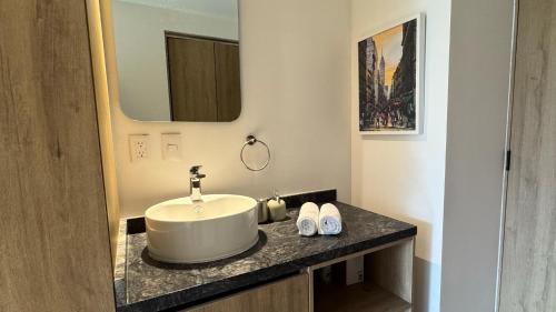 Billede fra billedgalleriet på MD Chapultepec Roma Norte i Mexico City