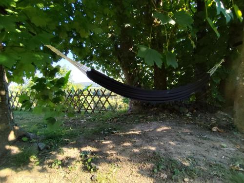 a hammock hanging from a tree next to a fence at Logement en pleine nature à la campagne in Saint-Cyr-sur-Morin