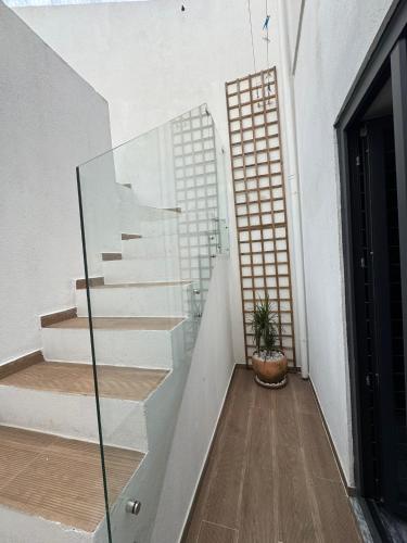 a glass staircase in a white building with a plant at Casa Rosa in Setúbal