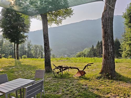 a bench sitting next to two trees and a piece of art at Vallicella House in Fanano