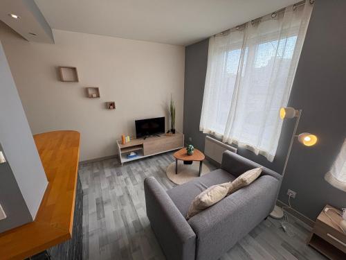 Appartement Cosy au coeur de Saint Etienne