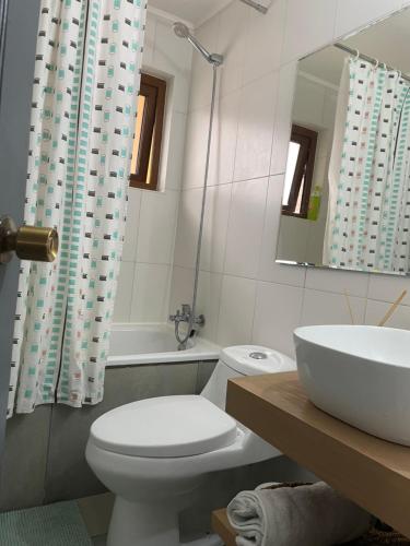 a bathroom with a toilet and a sink and a mirror at Casa full amoblada a pasos Jumbo Los Pablos in Temuco