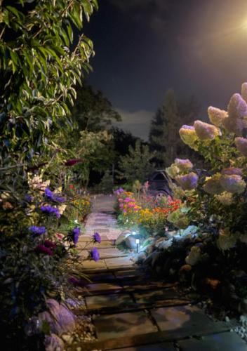 a garden at night with flowers and lights at Czereśniowe Wzgórze Sandomierz jakuzzi in Sandomierz