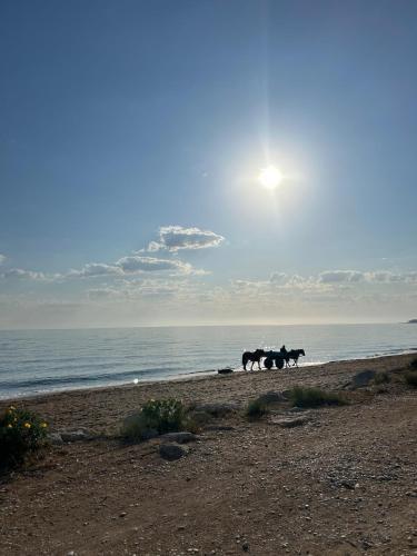La barraca del pescador
