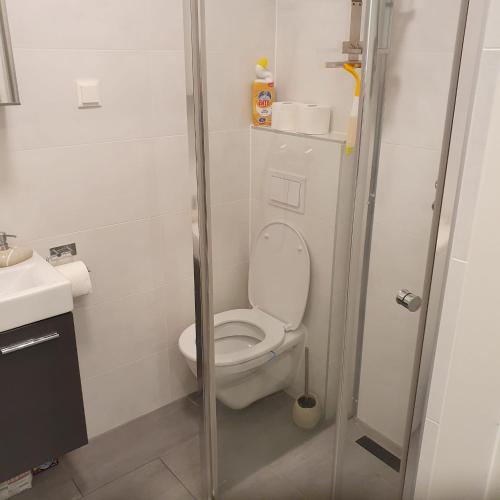 a small bathroom with a toilet and a sink at City 1100 in Vienna