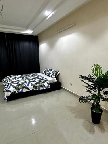 a bedroom with a bed and a potted plant at Private Room With Balcony, External Bathroom in Cotonou