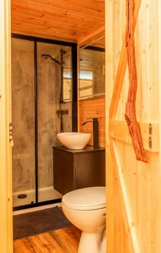 a bathroom with a toilet and a sink at Butterfly Lodge in Headcorn