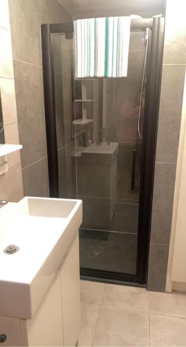 a bathroom with a shower and a sink at Horseshoe Cottage, Killarney in Killarney