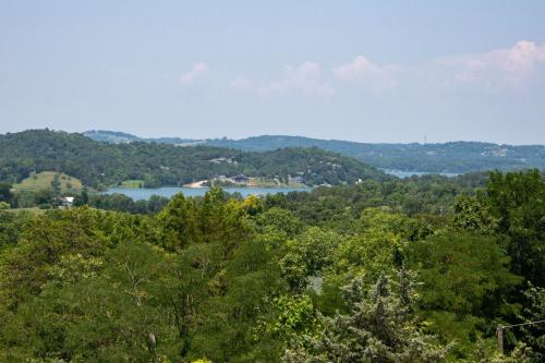 a view of a lake in the middle of trees at Lakeview Serenity By Avada Properties in Walnut Grove