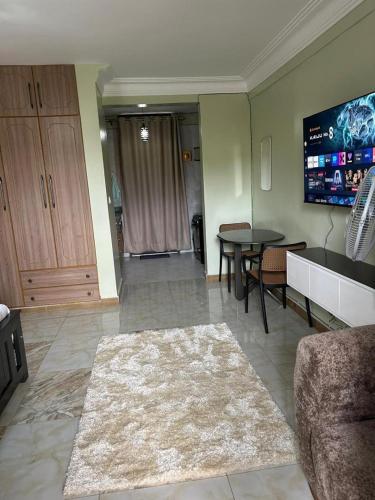 TV a/nebo společenská místnost v ubytování Aurora Studio