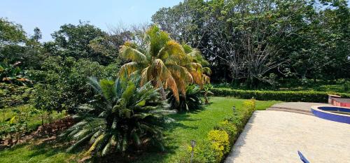 a garden with a palm tree in the grass at Casa Campestre El Laurel in Estación El Salto