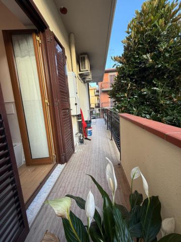 an open door to a balcony with white flowers at Kapo Azzurro in Monterotondo