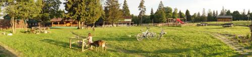 una cabra parada en un campo con una valla en Eco Farm Usadba Kuznetsovo en Kuznetsovo