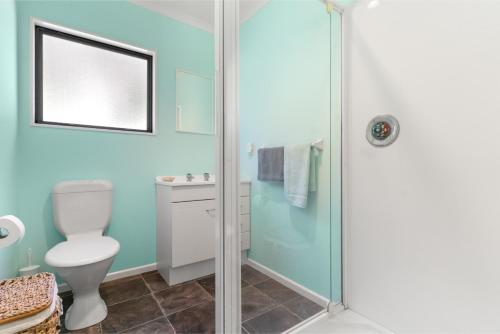 a bathroom with a toilet and a shower at Hill Cottage - Featherston Holiday Home in Featherston