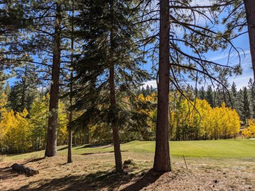 a view of a golf course with trees in the foreground at Fully Renovated Northstar Lake Tahoe Retreat in Truckee