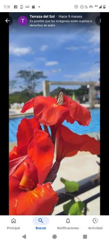 Πισίνα στο ή κοντά στο Hotel terrazas del sol