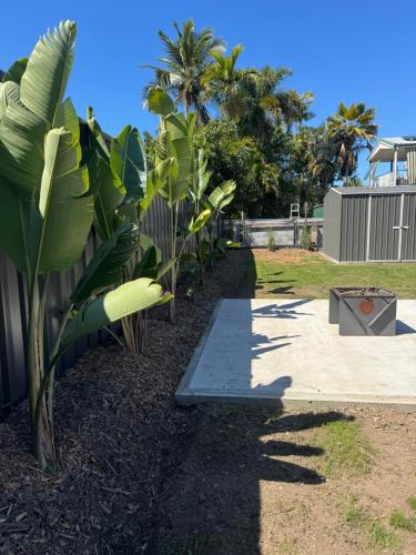 a row of banana plants next to a sidewalk at Panacea Rising in Yeppoon