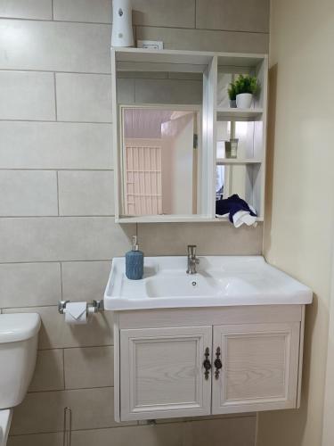 a bathroom with a white sink and a toilet at Elite Visitors Aruba in Oranjestad