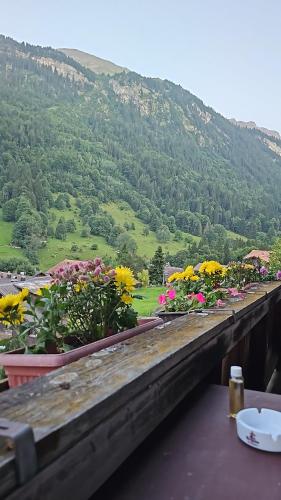 a table with flowers on a balcony with a view at Alphenrose saxeten in Saxeten