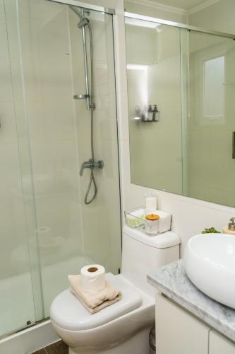 a bathroom with a shower and a toilet and a sink at Alojamiento Casa Puerto Varas, Cerca del lago in Puerto Varas