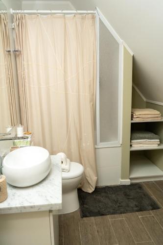 a bathroom with a white toilet and a shower at Alojamiento Casa Puerto Varas, Cerca del lago in Puerto Varas