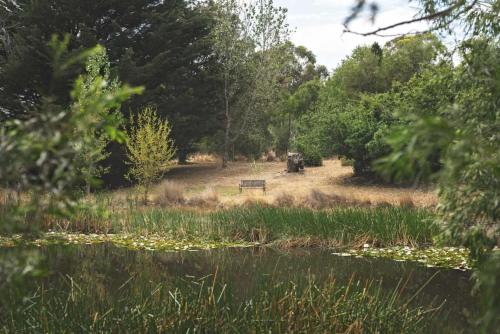 a park with a bench next to a pond at Tiny Hideaway at Cloverhills by Tiny Away in Newham