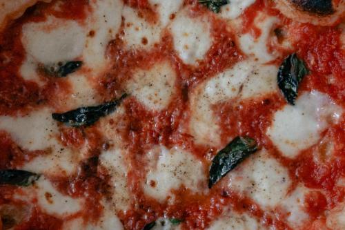 a close up of a pizza with cheese and spinach at Mezcal Hotel in Cancún