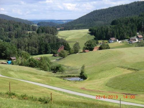 a view of a green field with a road at Nature Escape in Meisdorf in Meisdorf
