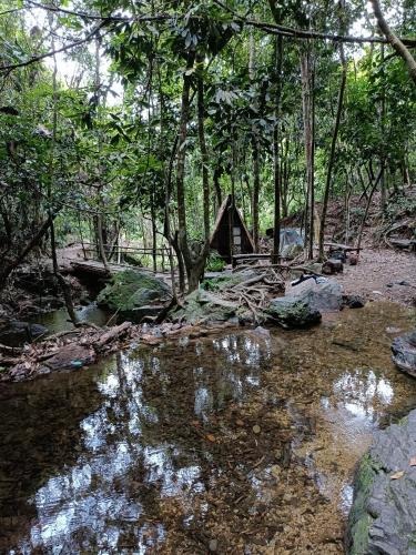 a small house in the woods next to a stream at Livio Homestay in Andalas